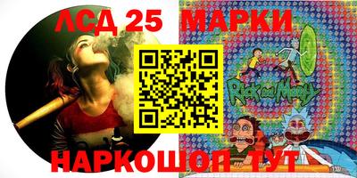 шишки Кандалакша