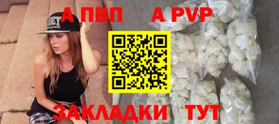 шишки Кандалакша