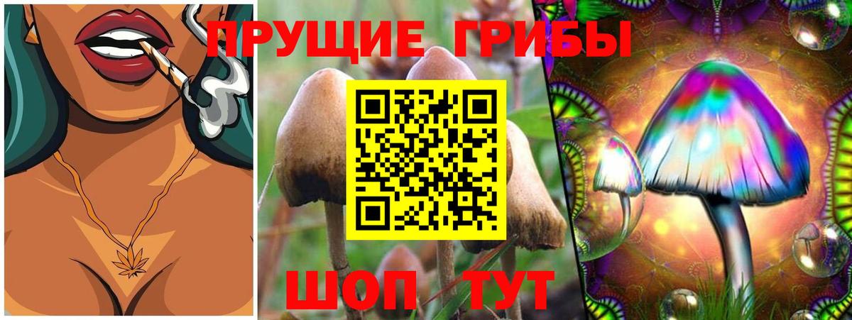 где купить наркотик  Псилоцибиновые грибы мухоморы  Вход с VPN  Галлюциногенные грибы мухоморы  Людиново 